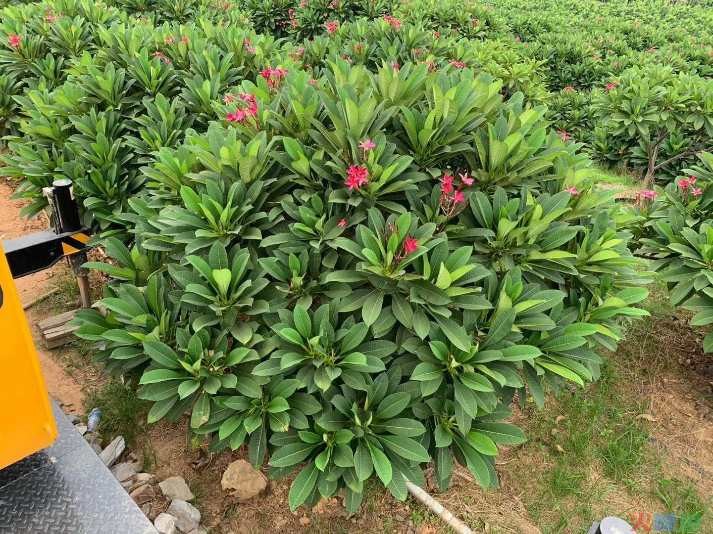 什么是商品供应