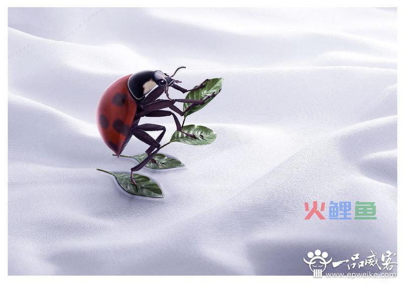 平面广告设计有哪些细节 平面广告设计细节注意