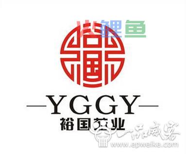 优秀公司logo设计的共同点_成功公司标志设计都有哪些特征