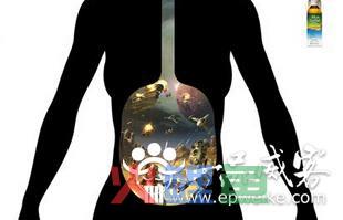 药物广告设计制作需谨慎 药物广告设计表现技巧和要求