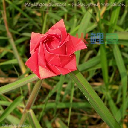 情人节手工创意贺卡制作中折纸花制作教程3