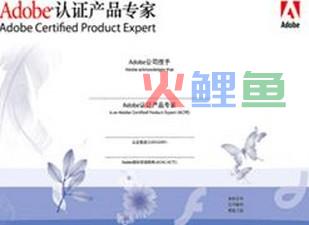 走进广告设计师的真实职场生活