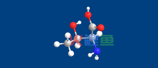 模型制作能够培养人们哪些有用的能力呢