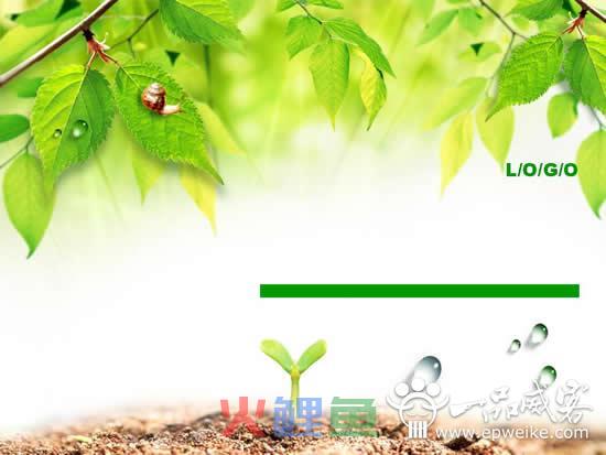 如何在PPT制作中插入视频的方法