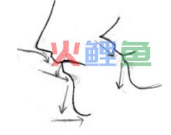 手绘表情之鼻子和嘴巴的画法
