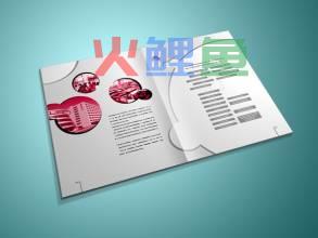 企业在进行企业宣传册设计时存在哪些误区呢