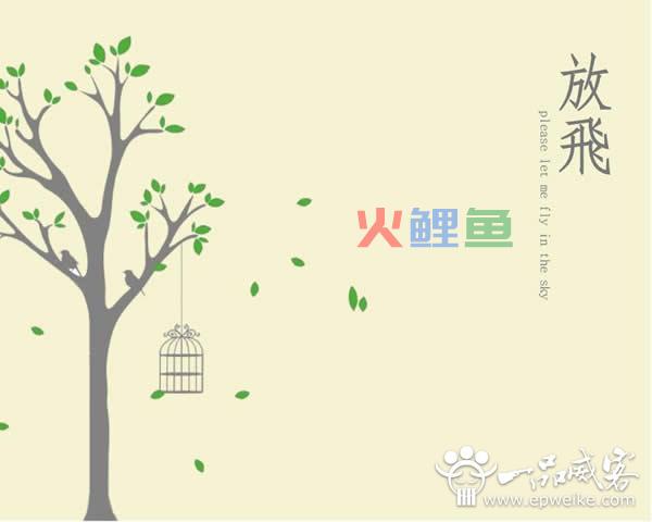 专业的ppt设计制作注意要点有哪些