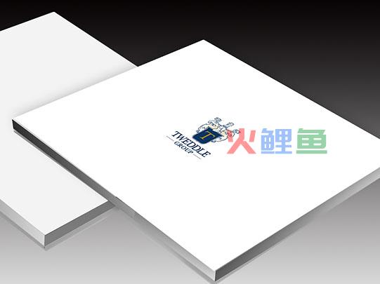 掌握宣传册设计的视觉要素