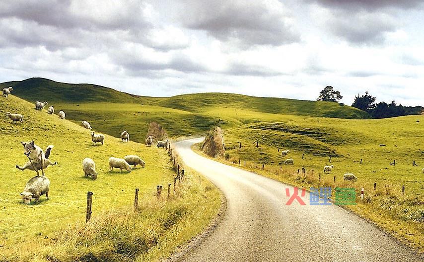 美化图片电子技术研究