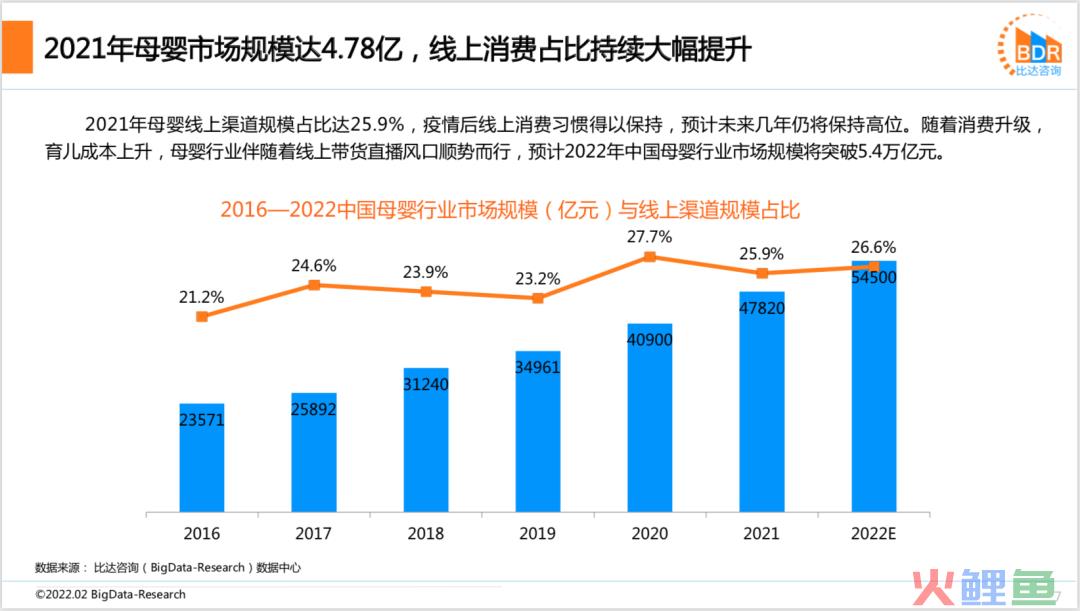 2021年度中国互联网母婴市场研究报告