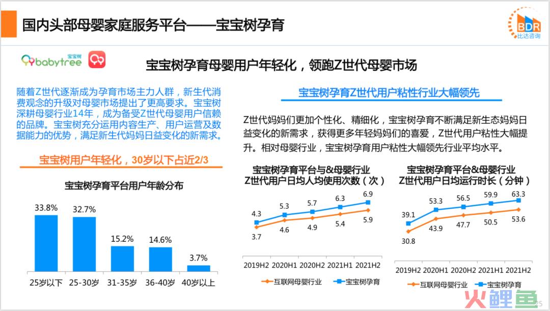 2021年度中国互联网母婴市场研究报告