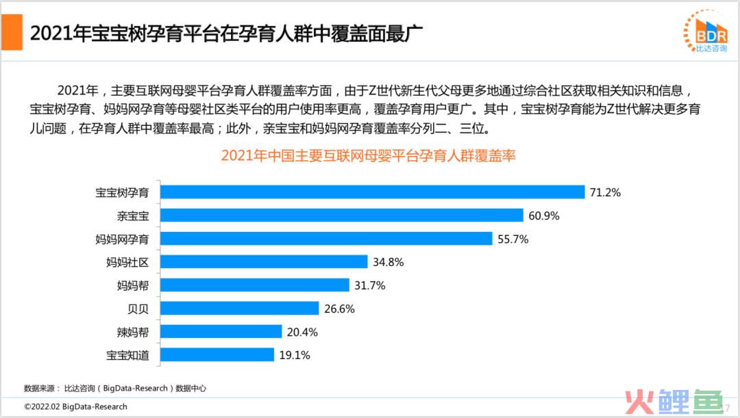 2021年度中国互联网母婴市场研究报告