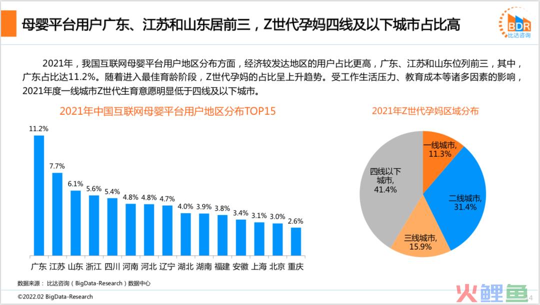 2021年度中国互联网母婴市场研究报告