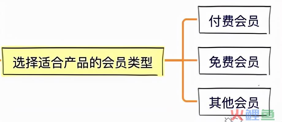 8步，搞定会员体系