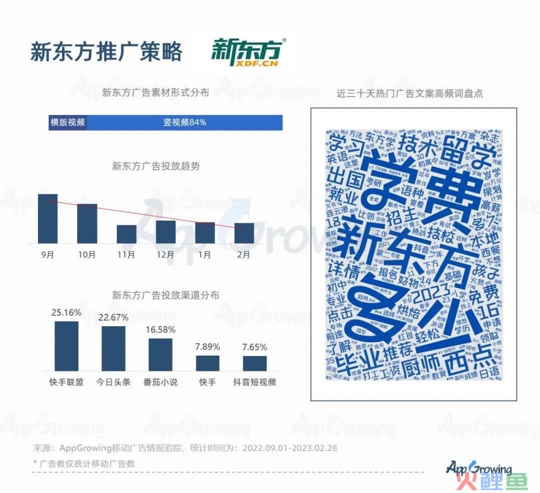 2023教培行业出现重大利好？一品牌投放量级提升513%