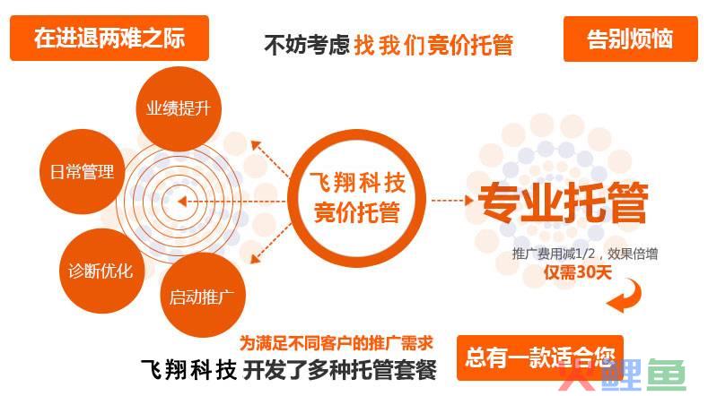 营销策划公司怎么赚钱，环县SEM竞价推广托管-怎么样进行企业网络营销策划