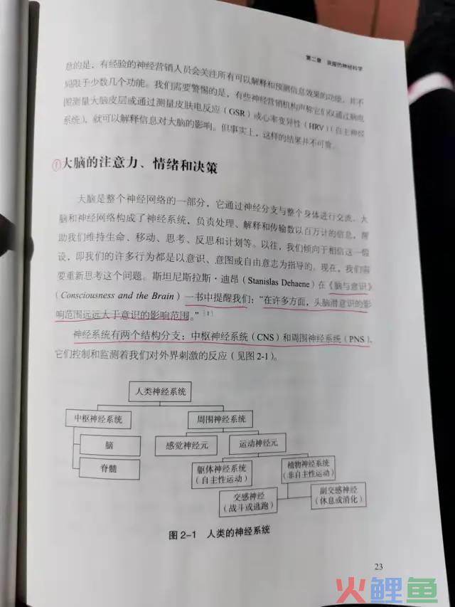 毕业论文文献参考格式_营销策划的参考文献_a的文献参考格式