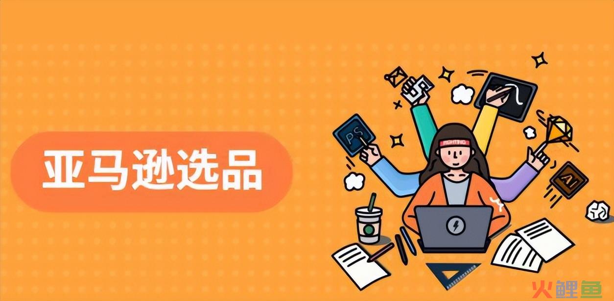 0基础小白了解亚马逊选品 带你了解选品的依据有哪些