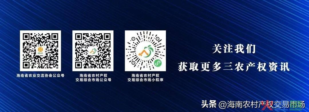 加快农村 敬老院 建设 调研_市场 调研 方案_农村市场调研