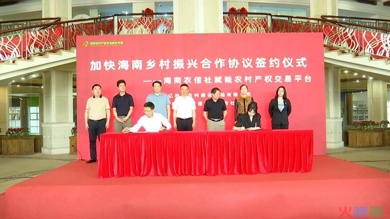 农村市场调研_市场 调研 方案_加快农村 敬老院 建设 调研