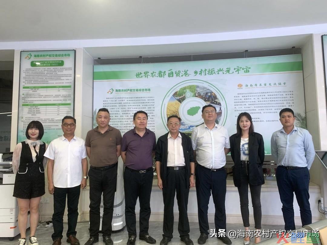 加快农村 敬老院 建设 调研_农村市场调研_市场 调研 方案