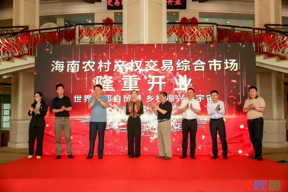 市场 调研 方案_加快农村 敬老院 建设 调研_农村市场调研