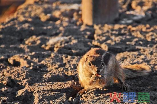 辽宁舆情监控(辽阳市城郊地区人民检察院召开舆情监测和应对处置培训会)