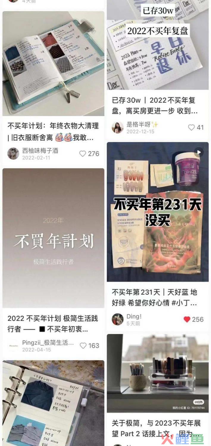 识破消费主义陷阱的年轻人，开启“不买年”