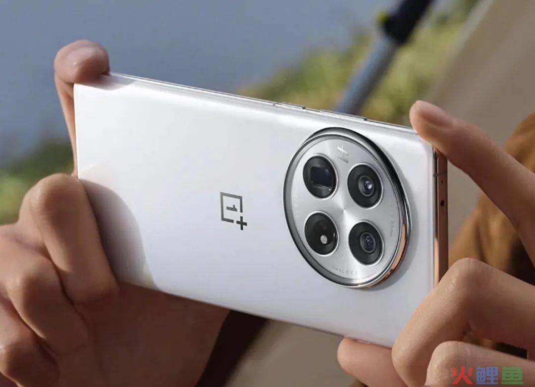 一加十年的得与失