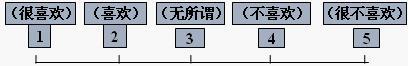  评价量表的应用及注意事项 