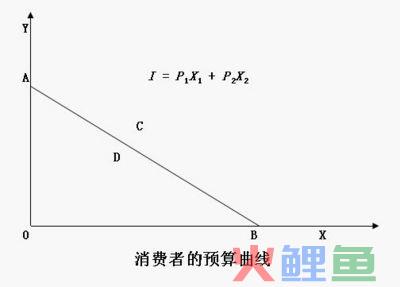  消费者预算线概述 