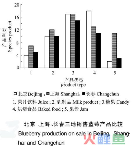  市场营销策略案例分析 