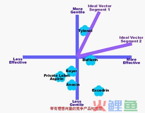  带有理想向量的竞争产品知觉图 