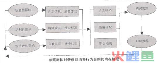  参照群体案例分析 