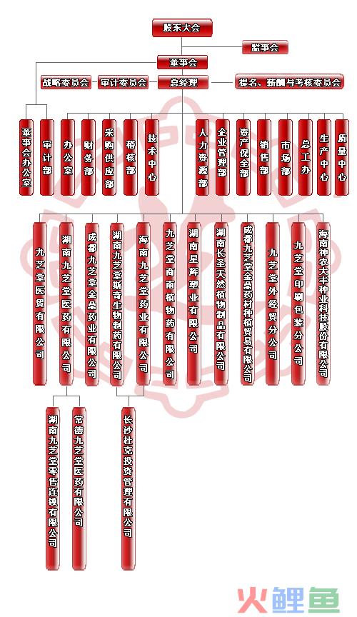  九芝堂股份有限公司组织结构 