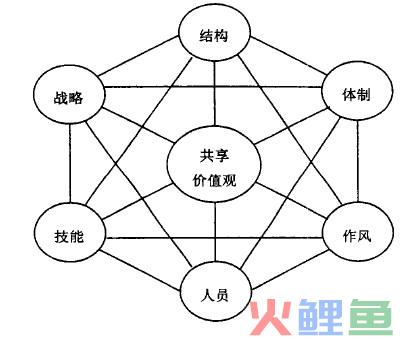  什么是7个S方法 