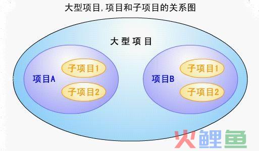  项目的相关术语 