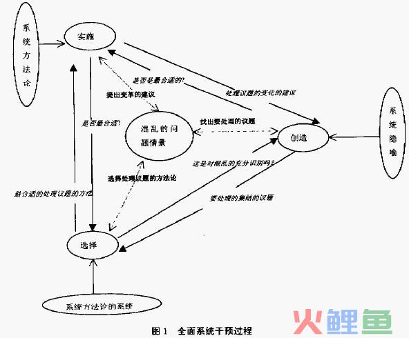  全面系统干预简介 