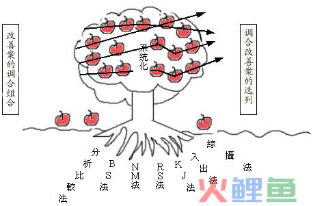  什么是TT-HS法 