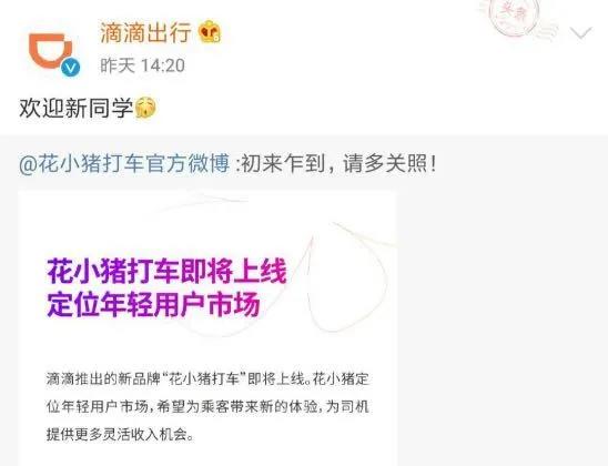 镁光灯下的花小猪，刷屏背后的功与过