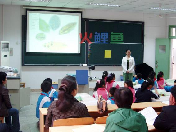 中国教育课件版多媒体设计的应用