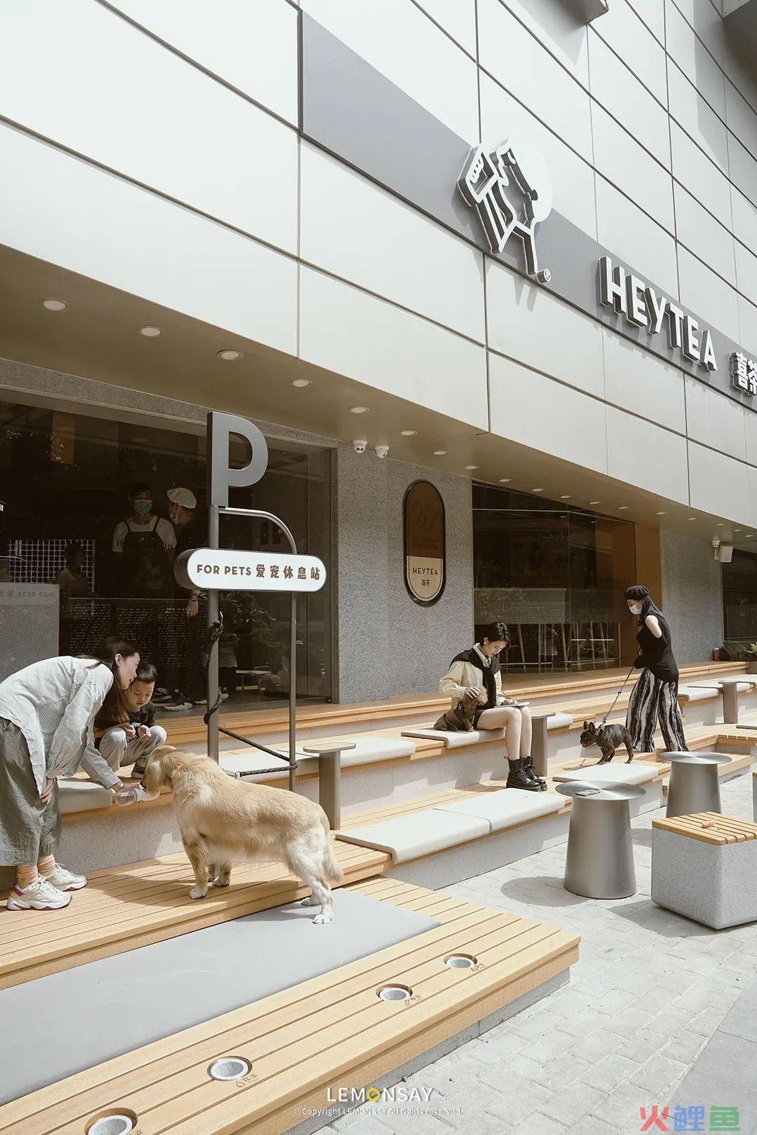 喜茶首家“宠物店”，门店也能社交化