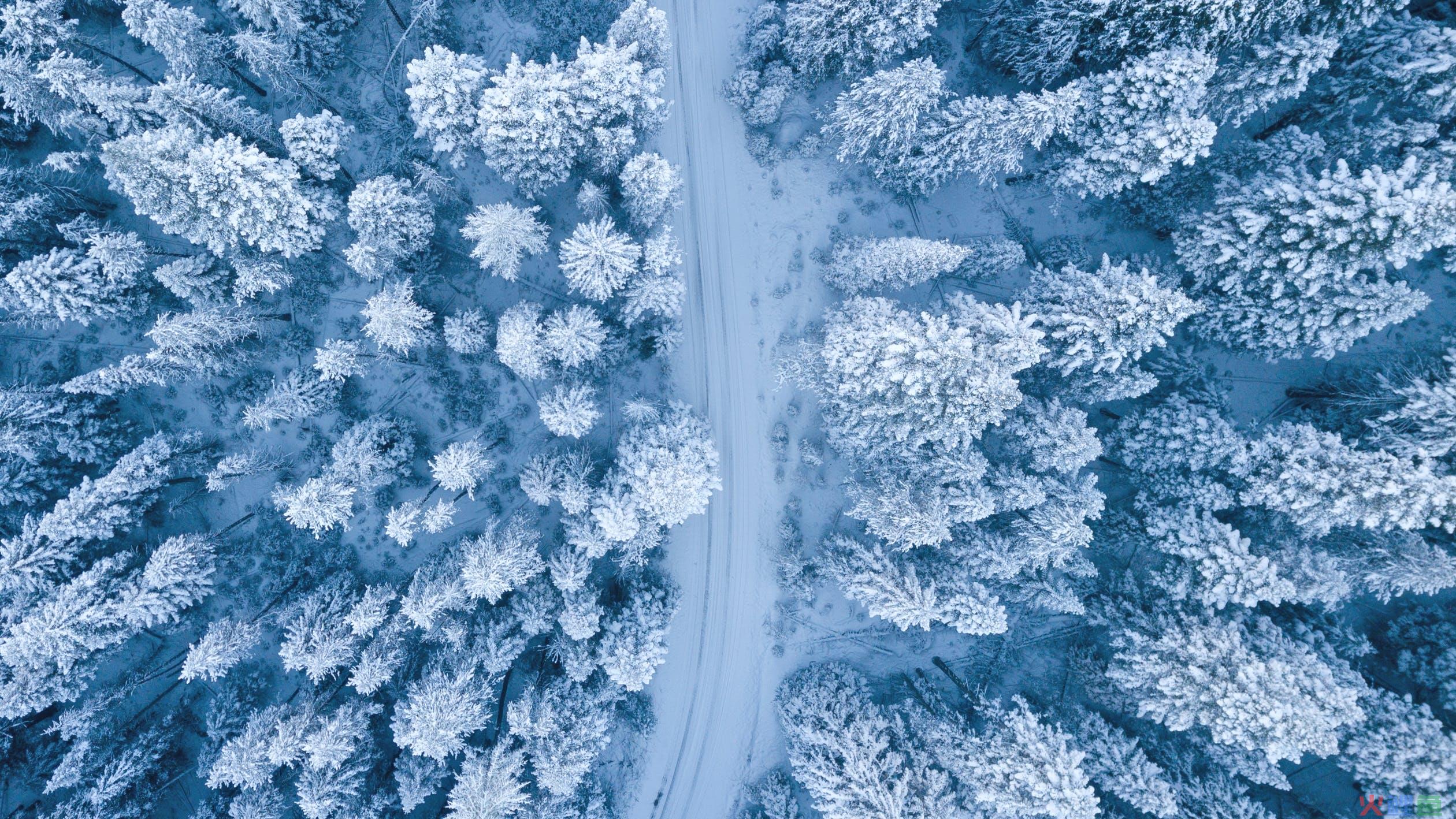 小雪|各大品牌文案海报、借势角度都在这里