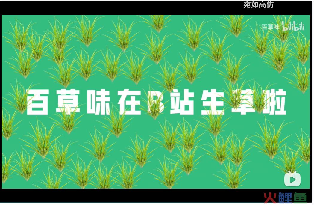 美食品牌B站破圈，百草味年轻化营销如何吸引Z世代年轻人？