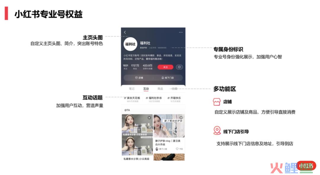 八千字长文｜小红书“专业号”与“号店一体化”超全解读