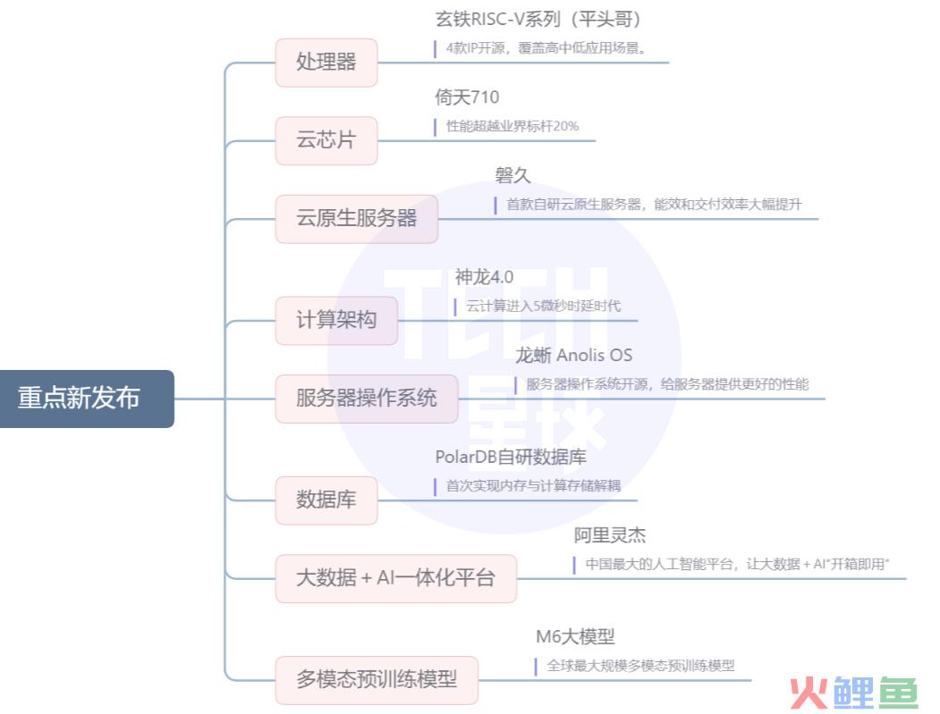 赶超亚马逊微软，阿里云这次的底气是什么?