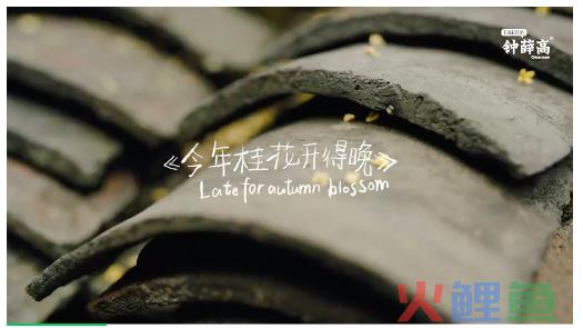 12月最佳文案，我先投它一票