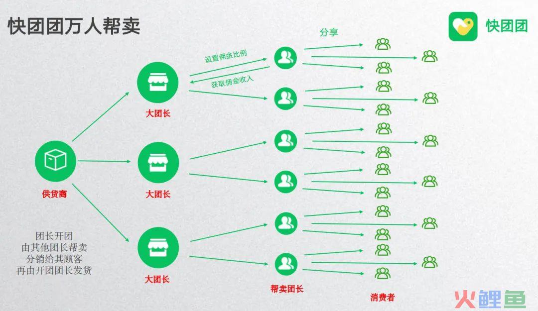 我在快团团当团长的100天