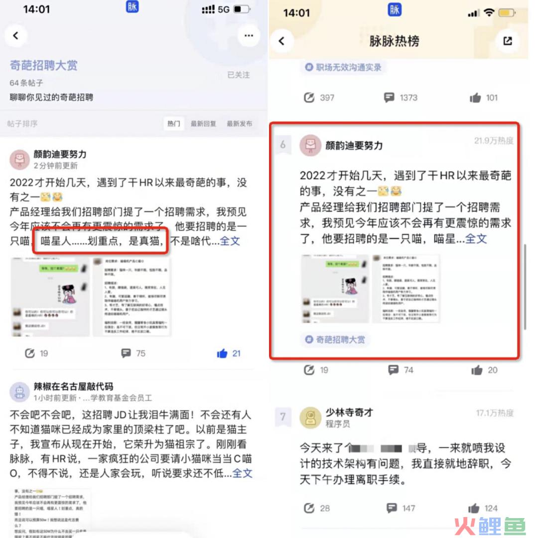 高薪招聘“C喵O”出圈背后，一场成功的话题营销