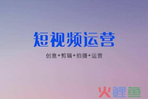 都是短视频，视频号、抖音、快手有什么不同？